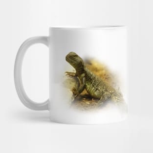 Spiny-tailed lizard Mug